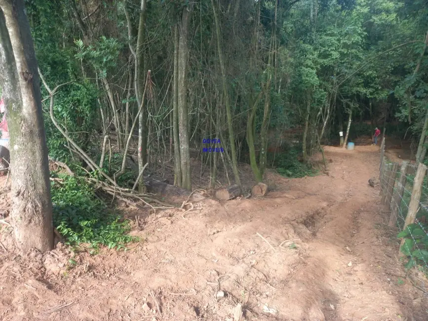 Chácara com 1 quarto à venda, 18000m2 em Contenda - PR - imagem 9 Foto 9 de Chácara com 1 quarto à venda, 18000m2 em Contenda - PR