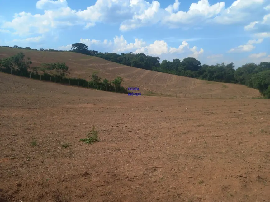 Chácara com 1 quarto à venda, 18000m2 em Contenda - PR - imagem 6 Foto 6 de Chácara com 1 quarto à venda, 18000m2 em Contenda - PR