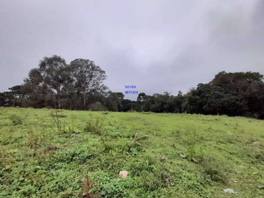 Terreno / Lote à venda, 166957m2 em Campina da Barra, Araucaria - PR - imagem 8 Foto 8 de Terreno / Lote à venda, 166957m2 em Campina da Barra, Araucaria - PR