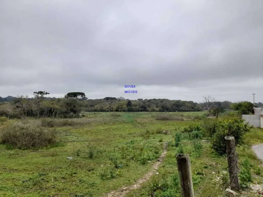 Terreno / Lote à venda, 166957m2 em Campina da Barra, Araucaria - PR - imagem 5 Foto 5 de Terreno / Lote à venda, 166957m2 em Campina da Barra, Araucaria - PR
