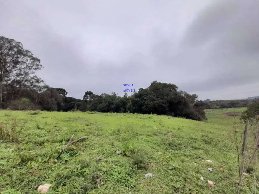 Terreno / Lote à venda, 166957m2 em Campina da Barra, Araucaria - PR - imagem 3 Foto 3 de Terreno / Lote à venda, 166957m2 em Campina da Barra, Araucaria - PR