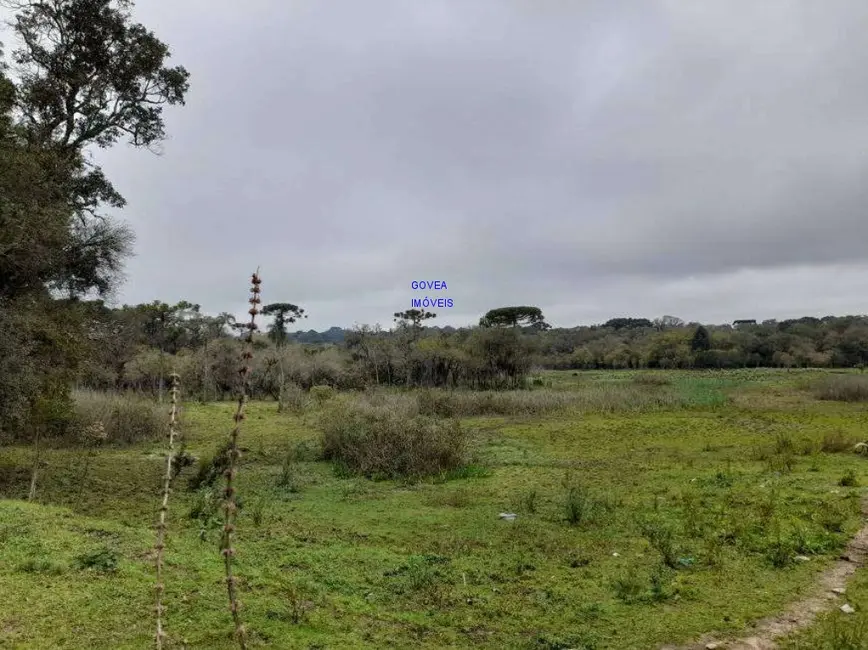 Terreno / Lote à venda, 166957m2 em Campina da Barra, Araucaria - PR - imagem 7 Foto 7 de Terreno / Lote à venda, 166957m2 em Campina da Barra, Araucaria - PR