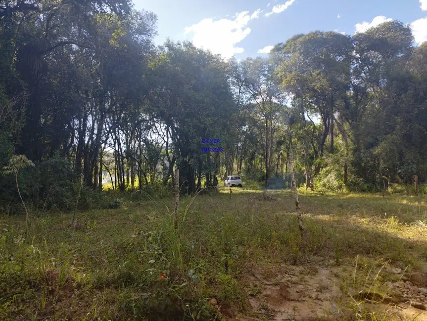 Chácara com 1 quarto à venda, 18500m2 em Alto Parana - PR - imagem 9 Foto 9 de Chácara com 1 quarto à venda, 18500m2 em Alto Parana - PR