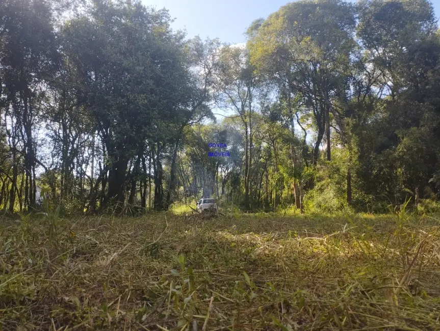 Chácara com 1 quarto à venda, 18500m2 em Alto Parana - PR - imagem 3 Foto 3 de Chácara com 1 quarto à venda, 18500m2 em Alto Parana - PR