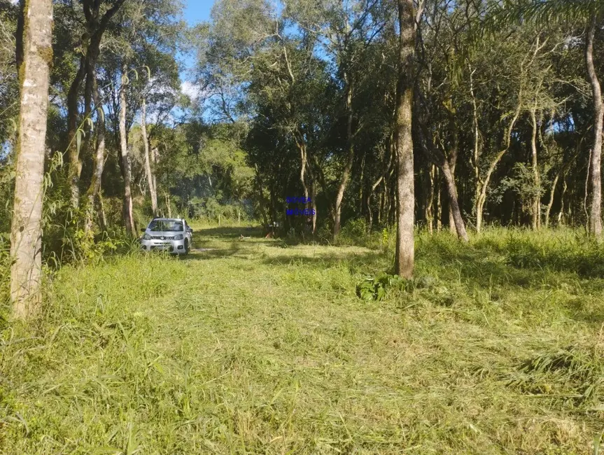 Chácara com 1 quarto à venda, 18500m2 em Alto Parana - PR - imagem 2 Foto 2 de Chácara com 1 quarto à venda, 18500m2 em Alto Parana - PR