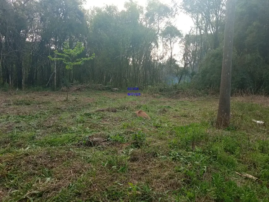 Chácara com 1 quarto à venda, 18500m2 em Alto Parana - PR - imagem 4 Foto 4 de Chácara com 1 quarto à venda, 18500m2 em Alto Parana - PR