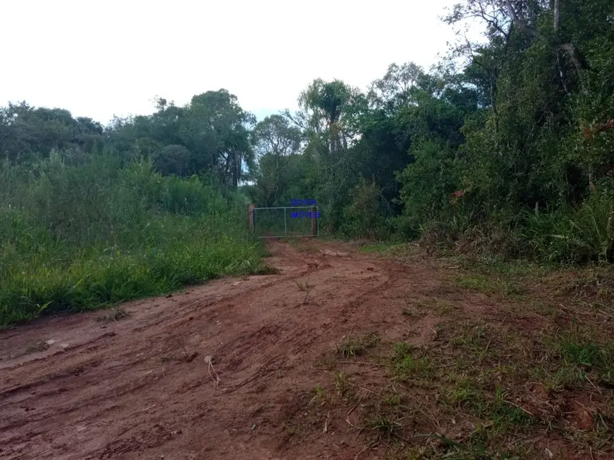 Chácara com 1 quarto à venda, 18500m2 em Alto Parana - PR - imagem 6 Foto 6 de Chácara com 1 quarto à venda, 18500m2 em Alto Parana - PR