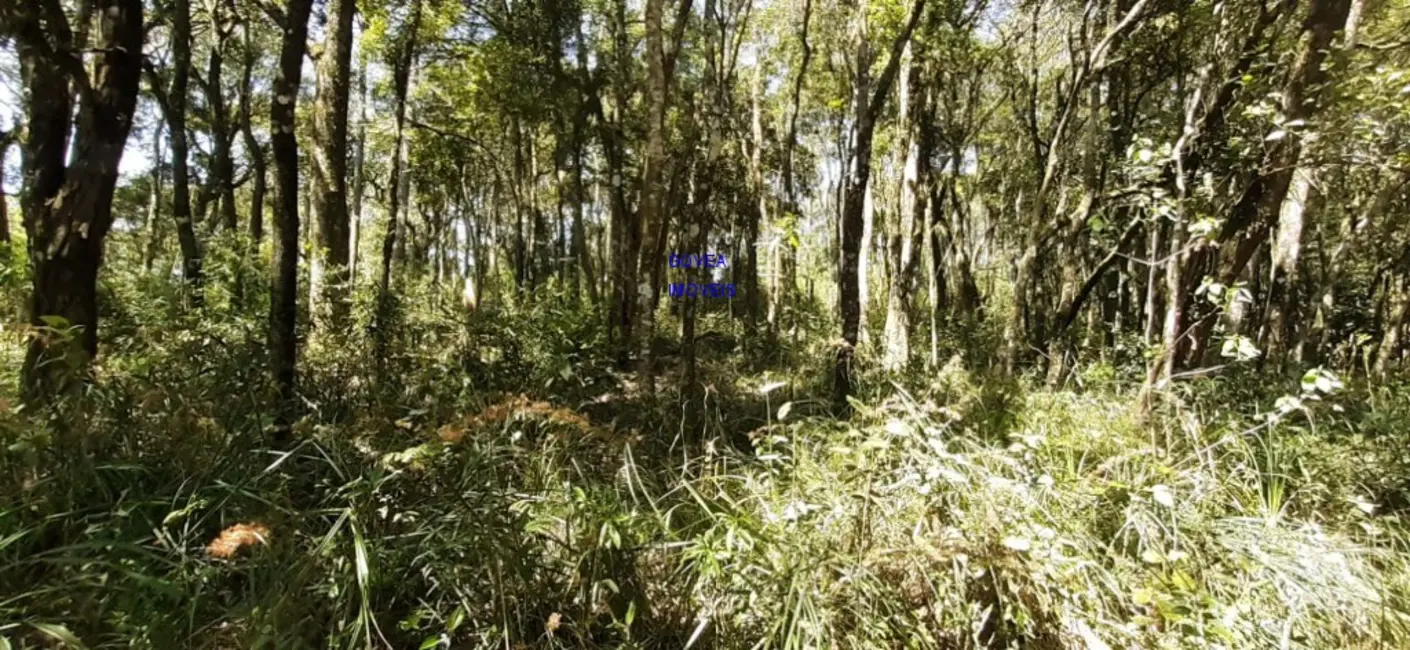 Foto 4 de Chácara com 1 quarto à venda, 20955m2 em Lapa - PR
