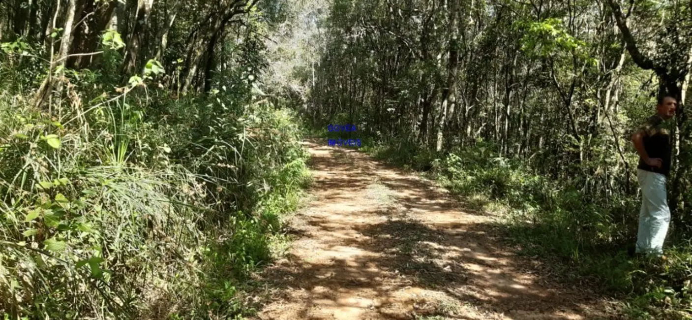 Foto 8 de Chácara com 1 quarto à venda, 20955m2 em Lapa - PR