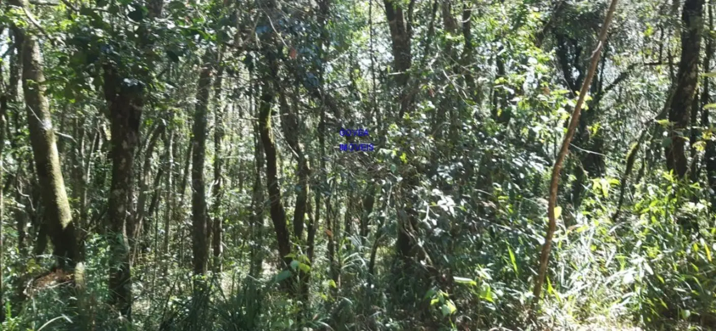 Foto 2 de Chácara com 1 quarto à venda, 20955m2 em Lapa - PR