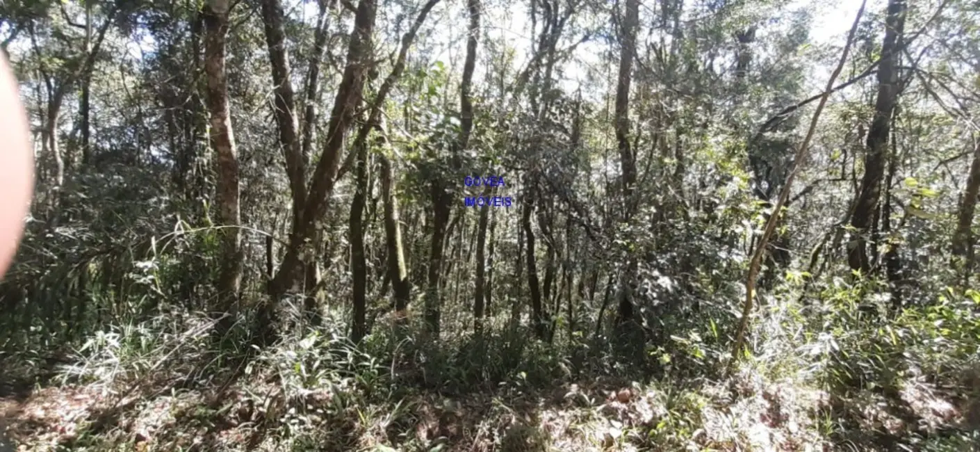 Foto 9 de Chácara com 1 quarto à venda, 20955m2 em Lapa - PR