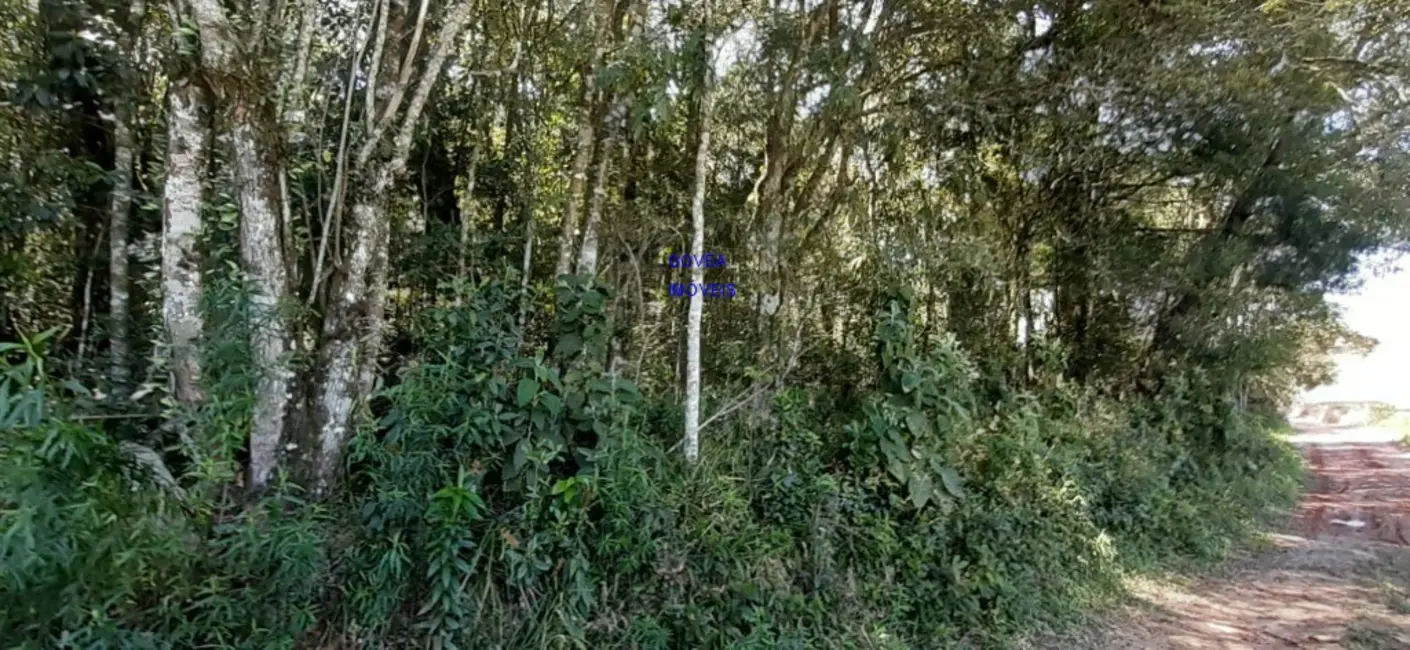 Foto 5 de Chácara com 1 quarto à venda, 20955m2 em Lapa - PR