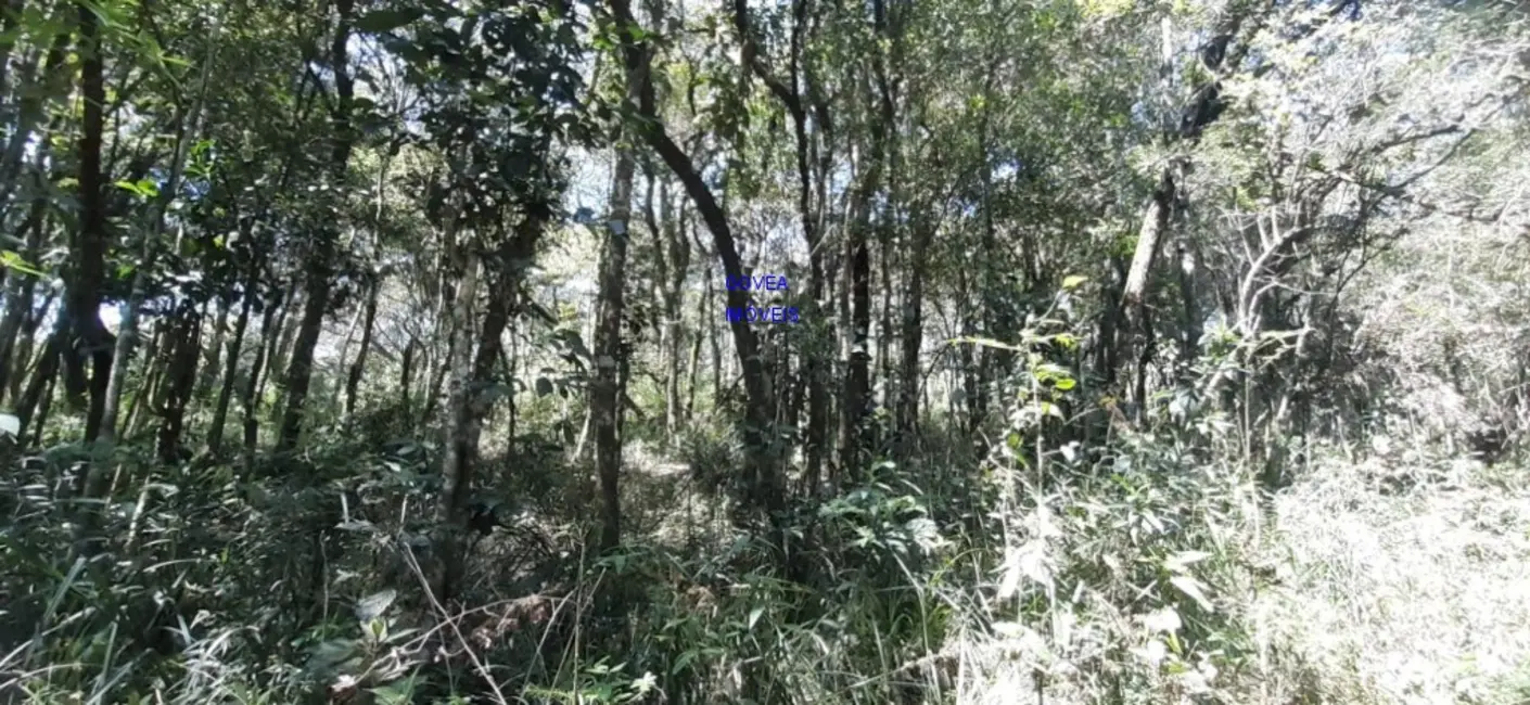Foto 6 de Chácara com 1 quarto à venda, 20955m2 em Lapa - PR