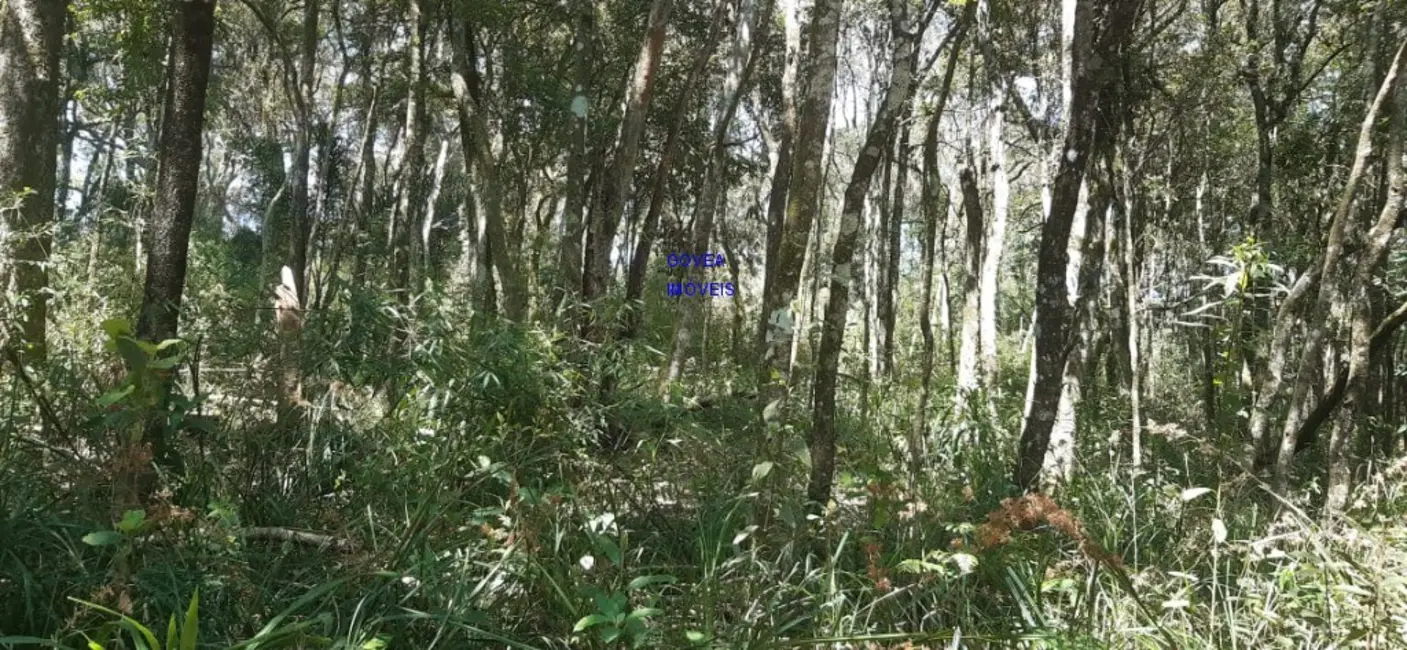 Foto 3 de Chácara com 1 quarto à venda, 20955m2 em Lapa - PR