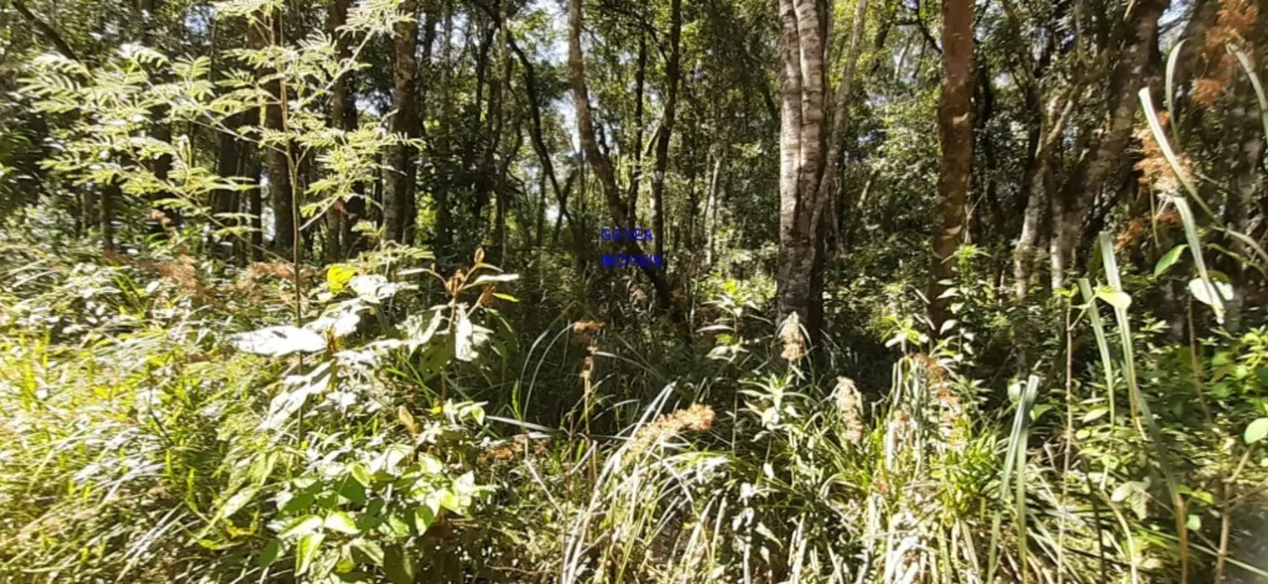Foto 7 de Chácara com 1 quarto à venda, 20955m2 em Lapa - PR