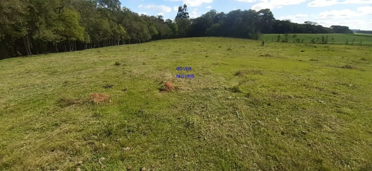 Foto 2 de Chácara com 3 quartos à venda, 24200m2 em Contenda - PR