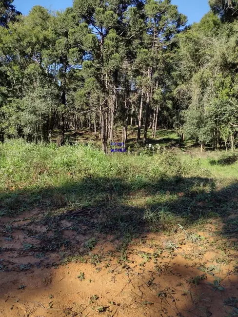 Foto 4 de Chácara com 1 quarto à venda, 6712m2 em Agudos Do Sul - PR