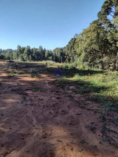 Foto 5 de Chácara com 1 quarto à venda, 6712m2 em Agudos Do Sul - PR