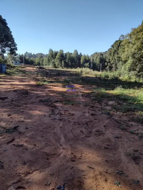 Foto 8 de Chácara com 1 quarto à venda, 6712m2 em Agudos Do Sul - PR