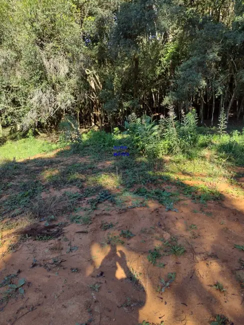 Foto 6 de Chácara com 1 quarto à venda, 6712m2 em Agudos Do Sul - PR