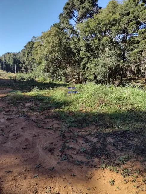 Foto 2 de Chácara com 1 quarto à venda, 6712m2 em Agudos Do Sul - PR