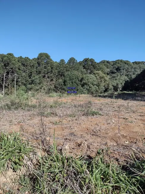 Foto 7 de Chácara com 1 quarto à venda, 6712m2 em Agudos Do Sul - PR