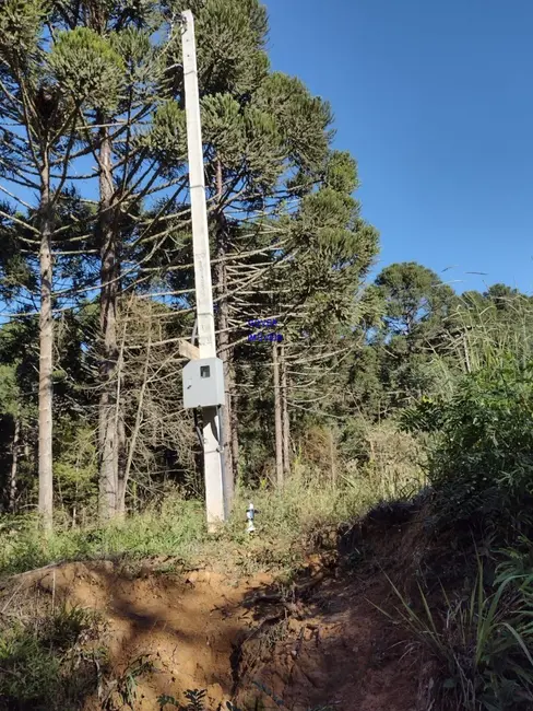 Foto 9 de Chácara com 1 quarto à venda, 6712m2 em Agudos Do Sul - PR