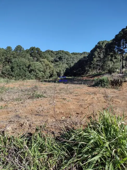 Foto 1 de Chácara com 1 quarto à venda, 6712m2 em Agudos Do Sul - PR