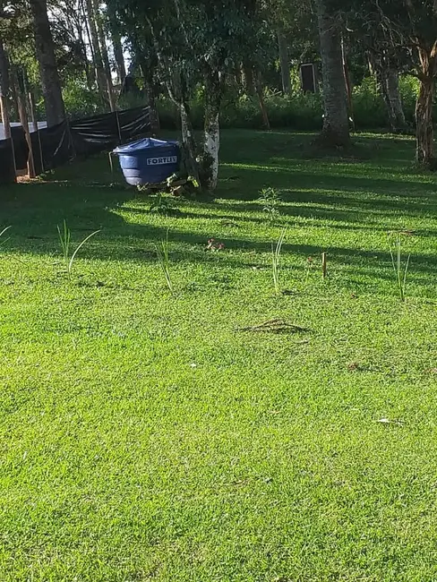 Chácara com 3 quartos à venda, 6000m2 em Contenda - PR - imagem 8 Foto 8 de Chácara com 3 quartos à venda, 6000m2 em Contenda - PR