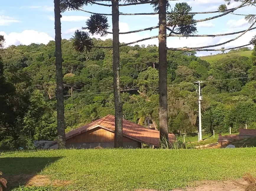 Chácara com 3 quartos à venda, 6000m2 em Contenda - PR - imagem 3 Foto 3 de Chácara com 3 quartos à venda, 6000m2 em Contenda - PR