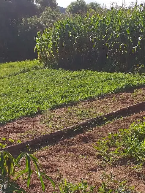 Chácara com 3 quartos à venda, 6000m2 em Contenda - PR - imagem 9 Foto 9 de Chácara com 3 quartos à venda, 6000m2 em Contenda - PR