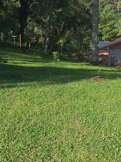 Foto 2 de Chácara com 3 quartos à venda, 6000m2 em Contenda - PR
