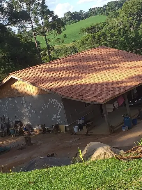 Foto 1 de Chácara com 3 quartos à venda, 6000m2 em Contenda - PR