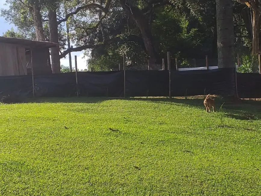 Chácara com 3 quartos à venda, 6000m2 em Contenda - PR - imagem 7 Foto 7 de Chácara com 3 quartos à venda, 6000m2 em Contenda - PR