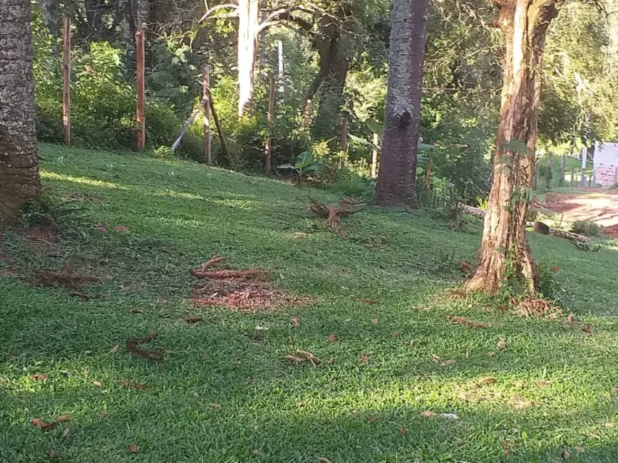Chácara com 3 quartos à venda, 6000m2 em Contenda - PR - imagem 4 Foto 4 de Chácara com 3 quartos à venda, 6000m2 em Contenda - PR