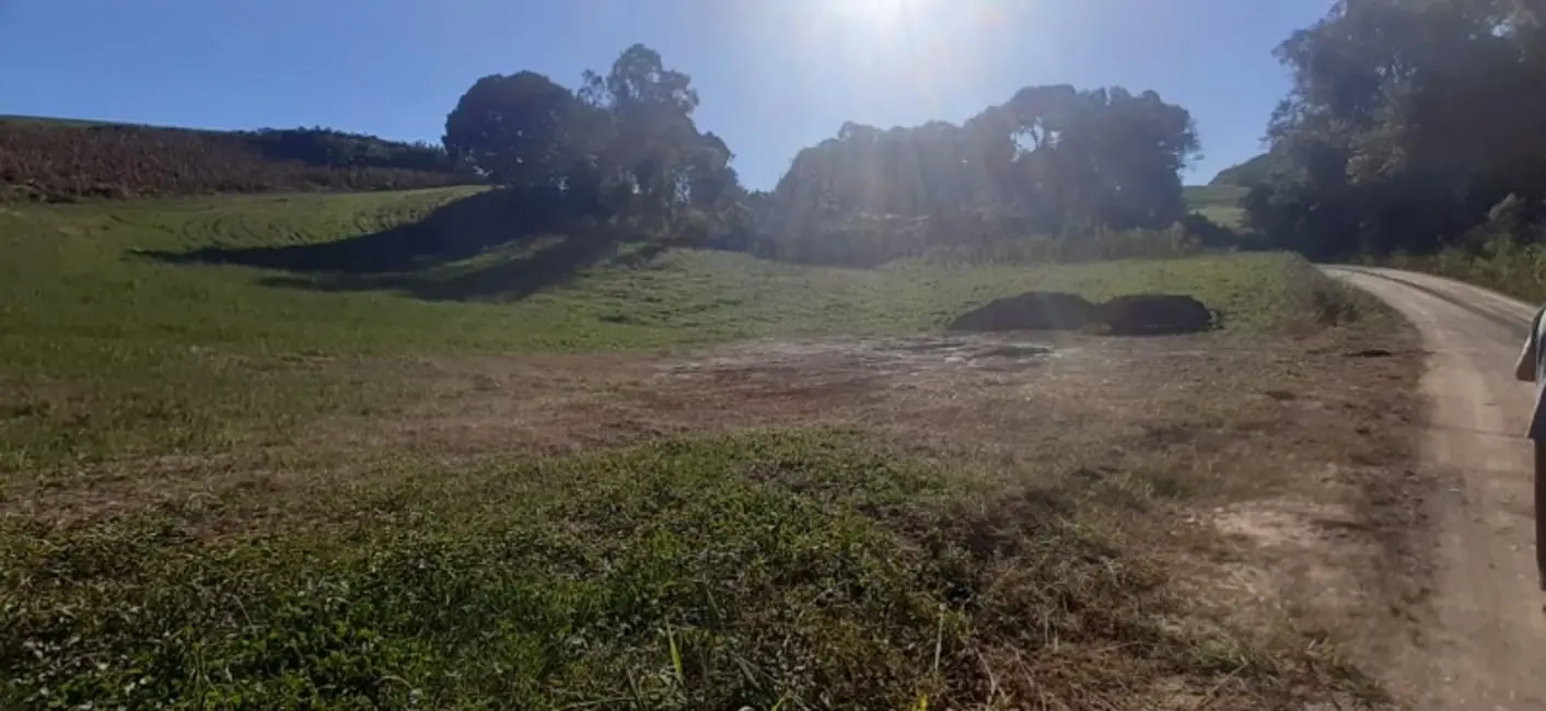 Foto 8 de Sítio / Rancho com 3 quartos à venda, 120m2 em Lapa - PR