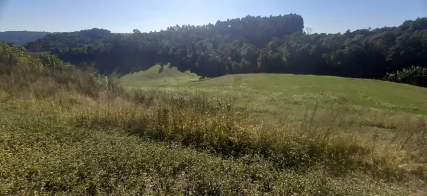 Foto 9 de Sítio / Rancho com 3 quartos à venda, 120m2 em Lapa - PR