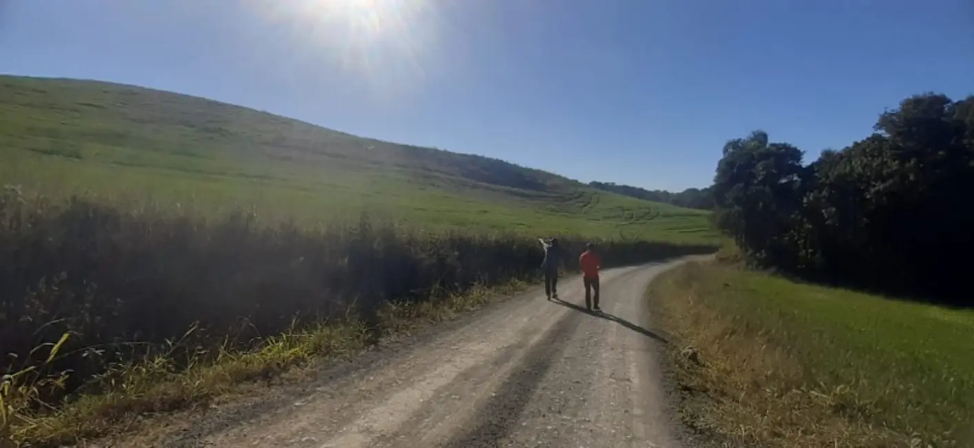 Foto 7 de Sítio / Rancho com 3 quartos à venda, 120m2 em Lapa - PR