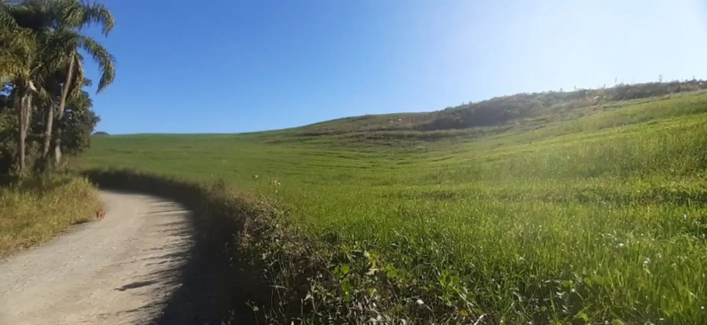 Foto 4 de Sítio / Rancho com 3 quartos à venda, 120m2 em Lapa - PR