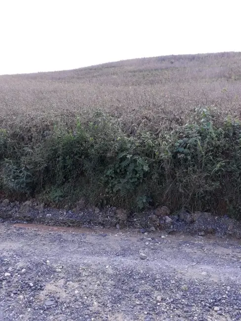 Foto 5 de Sítio / Rancho com 3 quartos à venda, 120m2 em Lapa - PR