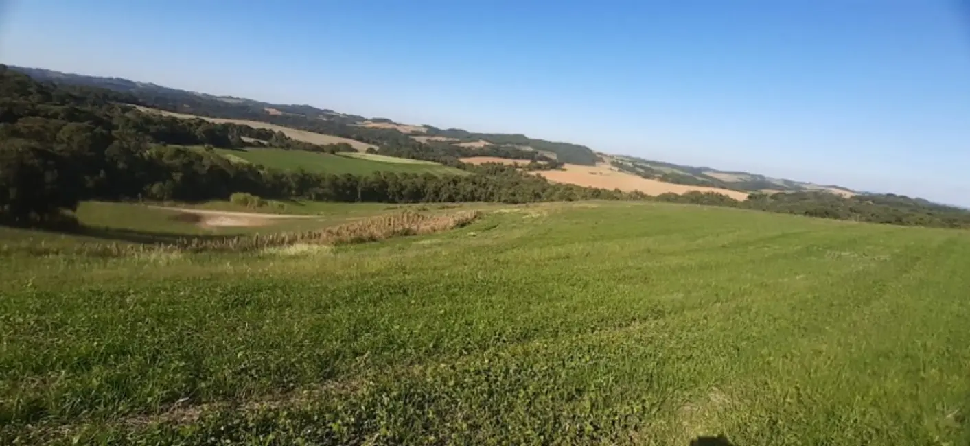 Foto 1 de Sítio / Rancho com 3 quartos à venda, 120m2 em Lapa - PR