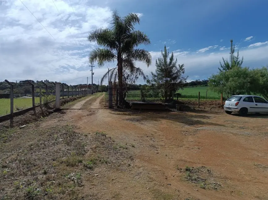 Chácara com 2 quartos à venda, 2500m2 em Contenda - PR - imagem 9 Foto 9 de Chácara com 2 quartos à venda, 2500m2 em Contenda - PR