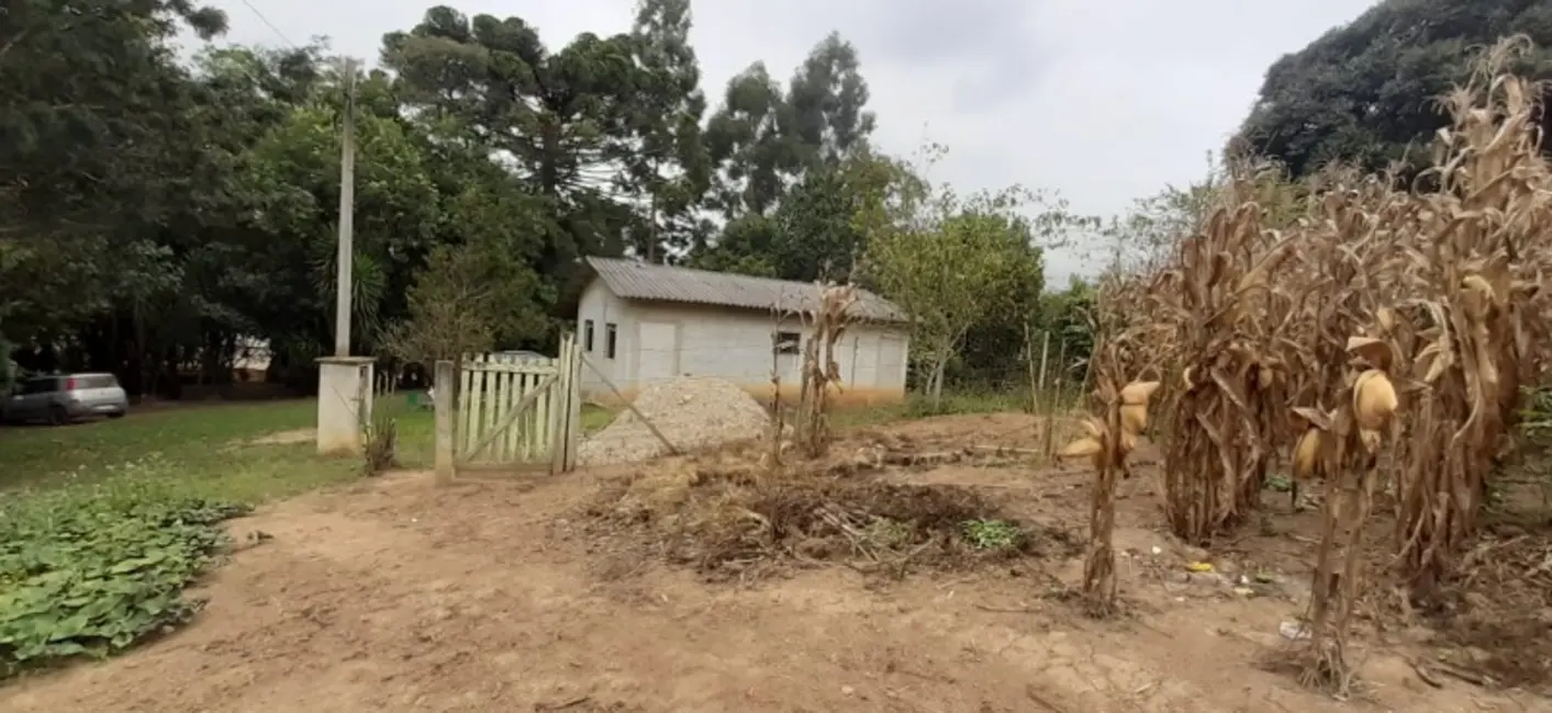 Chácara com 2 quartos à venda, 24100m2 em Contenda - PR - imagem 5 Foto 5 de Chácara com 2 quartos à venda, 24100m2 em Contenda - PR