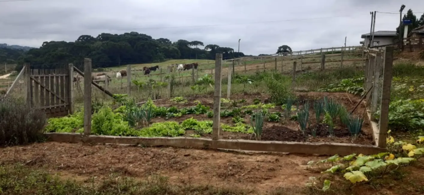 Chácara com 2 quartos à venda, 24100m2 em Contenda - PR - imagem 1 Foto 1 de Chácara com 2 quartos à venda, 24100m2 em Contenda - PR
