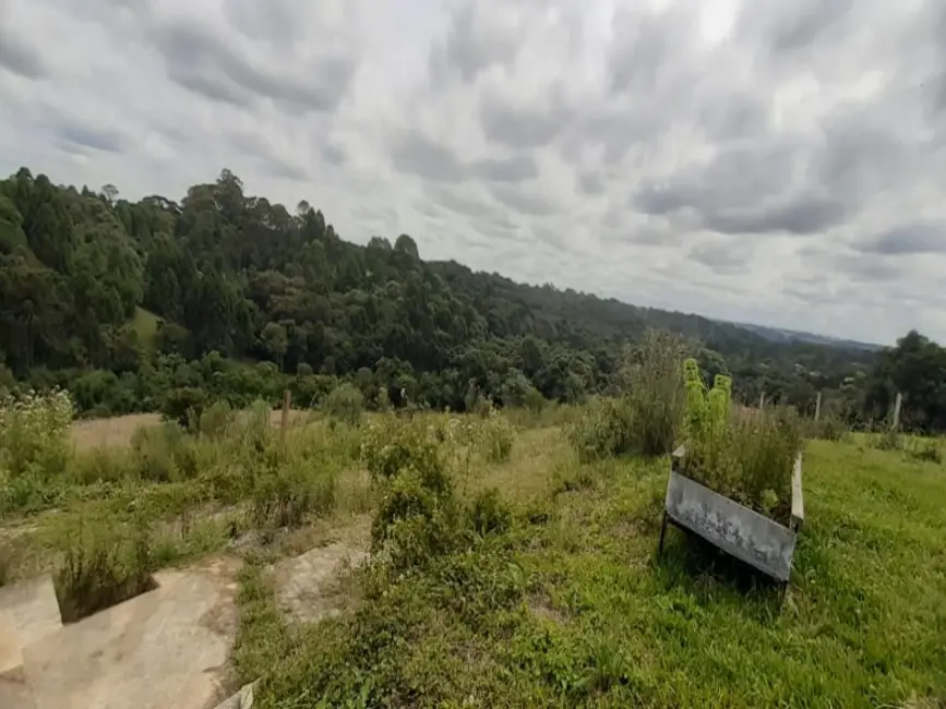 Foto 7 de Chácara com 2 quartos à venda, 20000m2 em Centro, Araucaria - PR