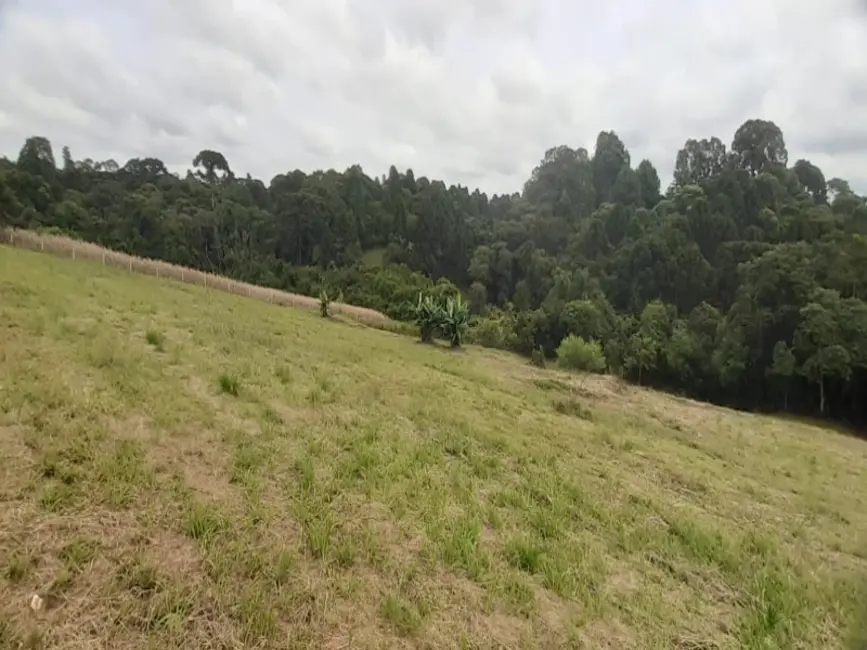 Foto 3 de Chácara com 2 quartos à venda, 20000m2 em Centro, Araucaria - PR