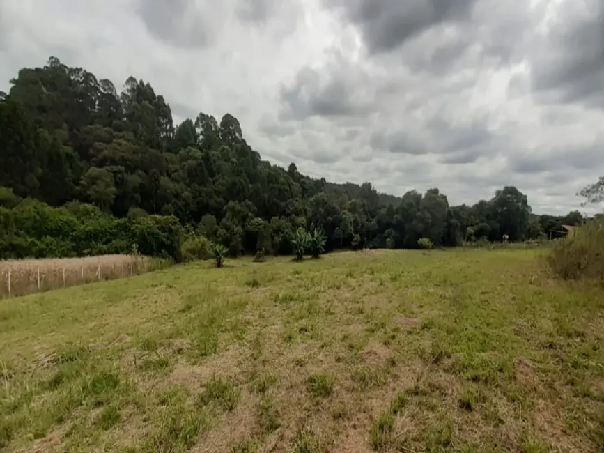 Foto 6 de Chácara com 2 quartos à venda, 20000m2 em Centro, Araucaria - PR