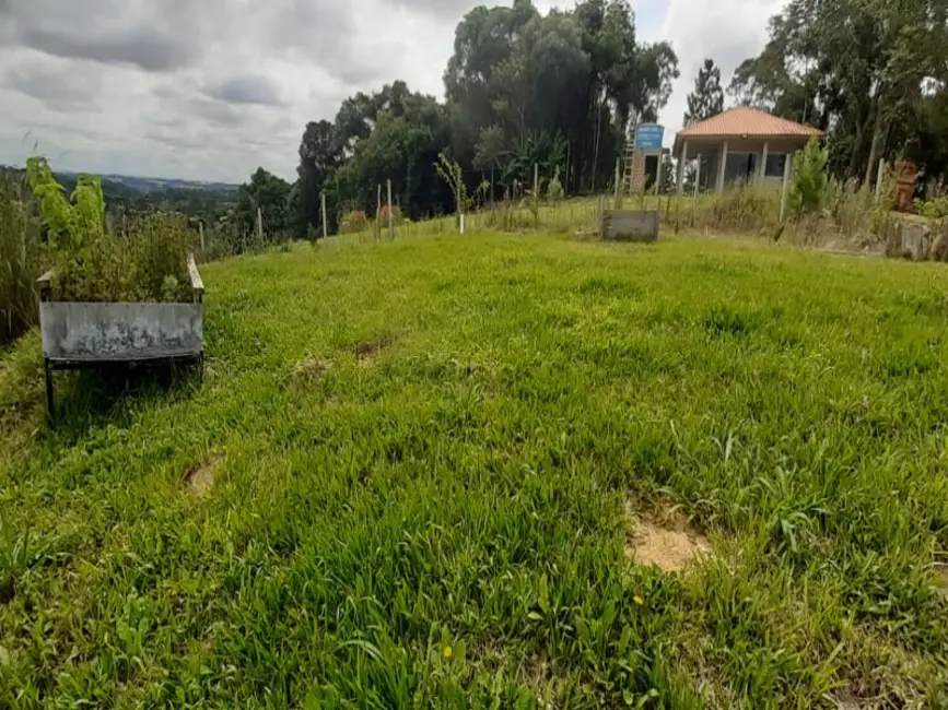 Foto 8 de Chácara com 2 quartos à venda, 20000m2 em Centro, Araucaria - PR