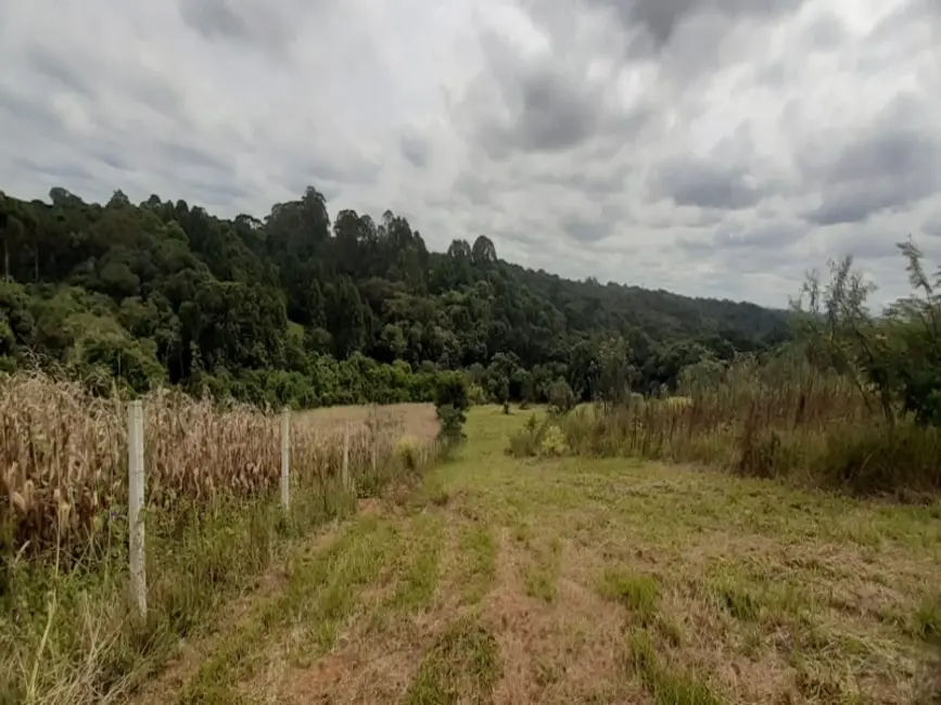 Foto 5 de Chácara com 2 quartos à venda, 20000m2 em Centro, Araucaria - PR