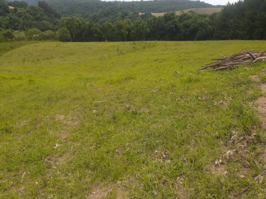 Foto 4 de Chácara com 4 quartos à venda, 62000m2 em Lapa - PR